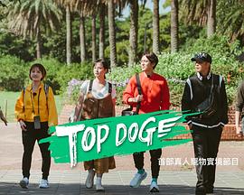 榴莲视频ios《TOP DOG》免费在线观看