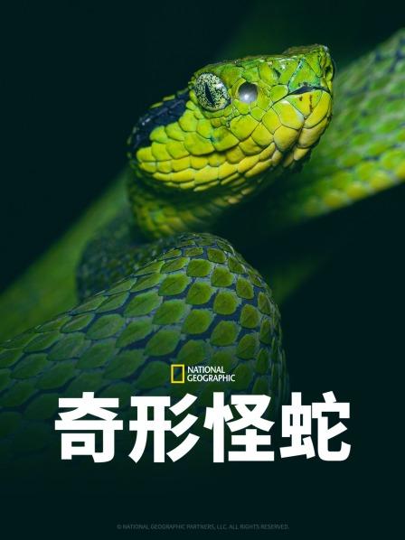 樱桃导航《奇形怪蛇》免费在线观看